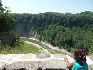 overlooking letchworth state park